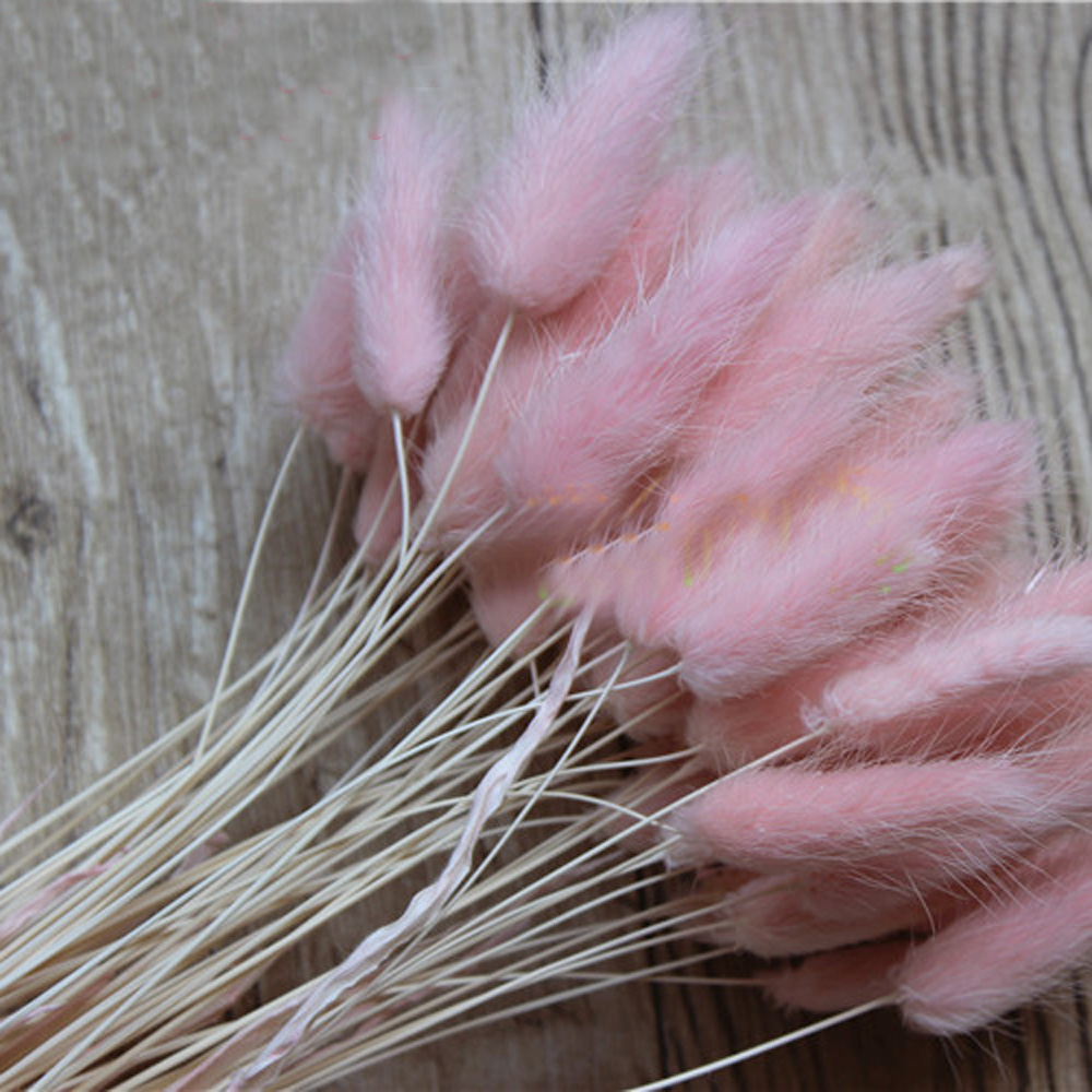 Dried Flower Bunch - 50 Uds. Ramos de flores naturales