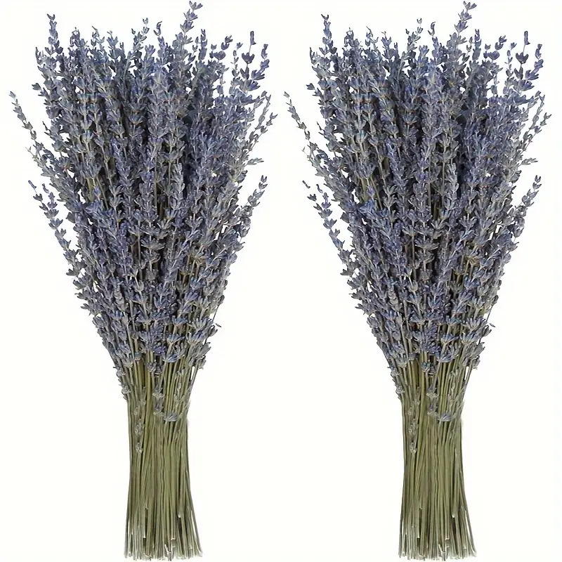 Dried Flower Bunch - 200 Piezas/Ramo de Flores Secas de