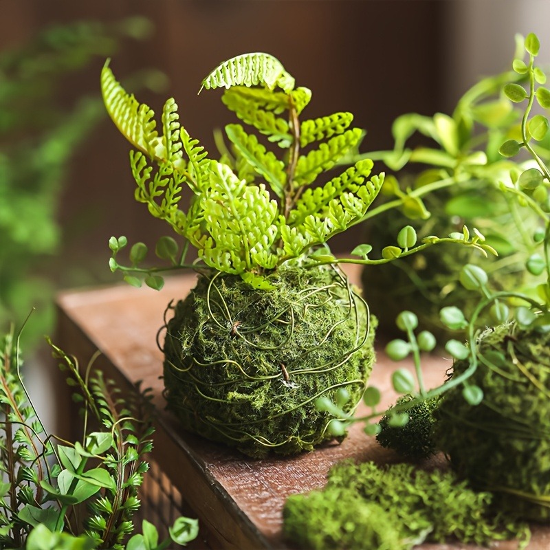 Preserved Moss Sheet - Maceta con Bola de Musgo Artificial,