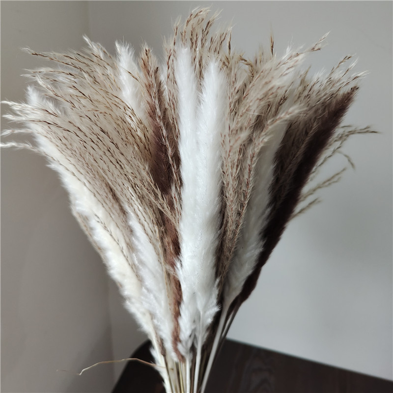 Dried Flower Bunch - Ramo de flores secas mezcladas, cañas