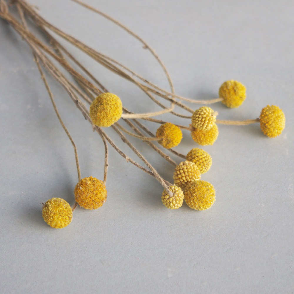 Dried Flower Bunch - 20 piezas ramos de flores de