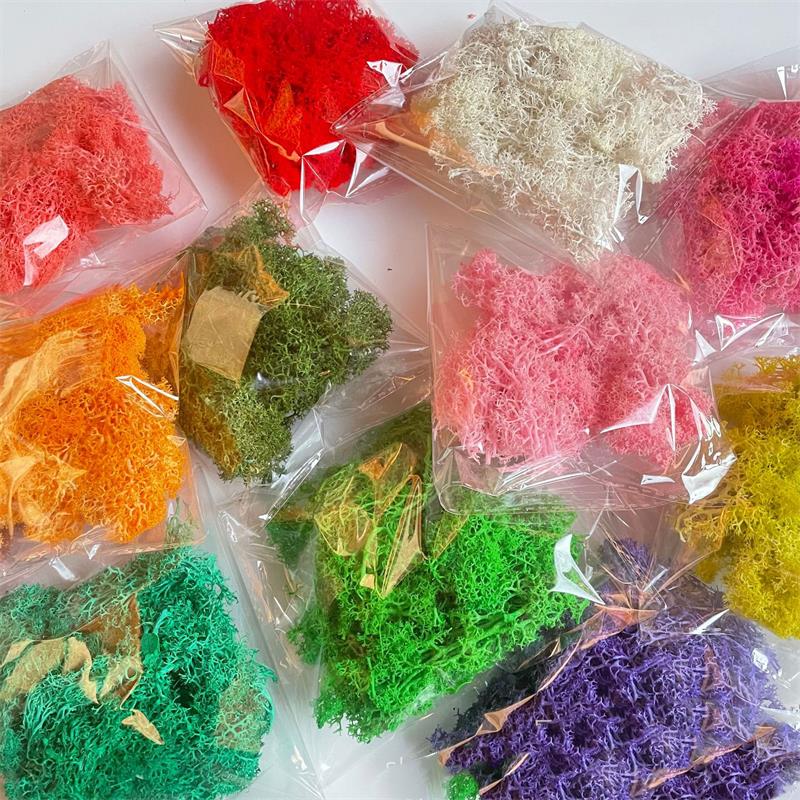 Preserved Moss Sheet - Plantas verdes artificiales de 20-200g, hierba