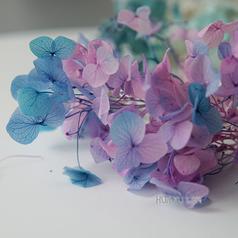 Dried Flower Bunch - Flores Secas de Hortensia con Degradado