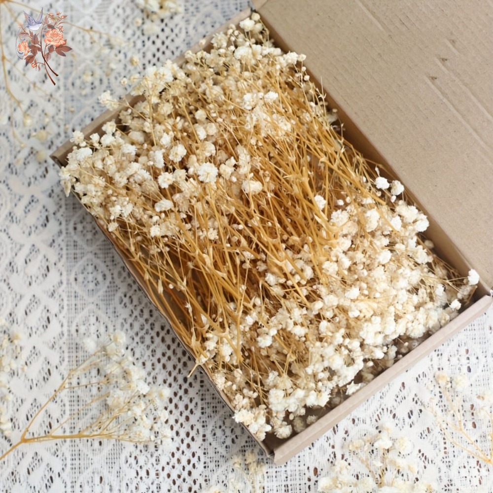 Dried Flower Bunch - 100 Piezas de Flores Secas de
