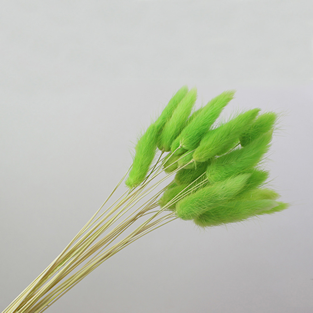 50 Uds. Ramos de flores natura - Dried Flower Bunch reseña y precio