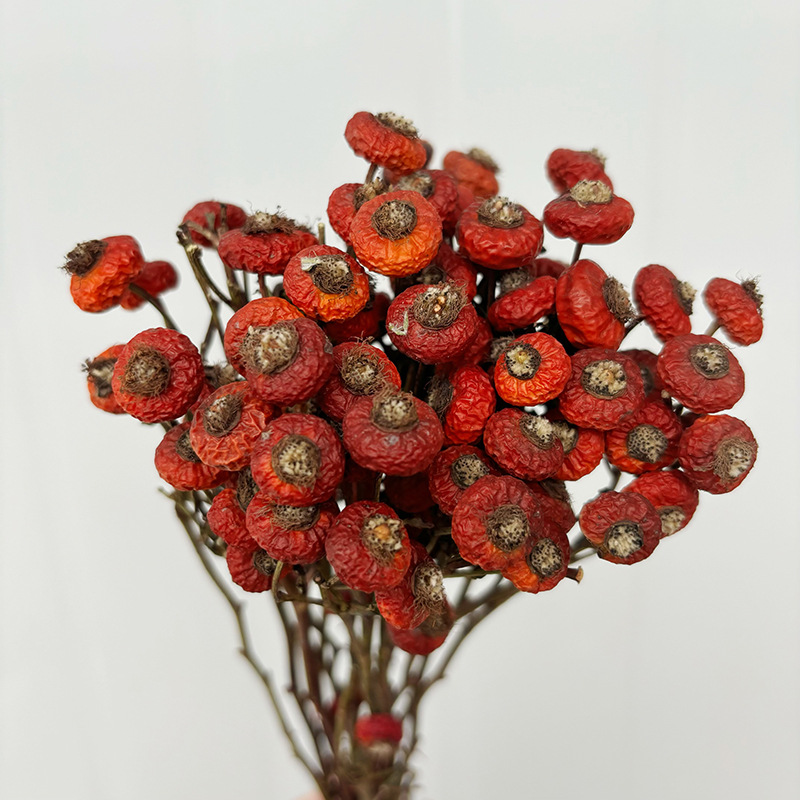 10 Piezas/Ramo de Flores Secas - Dried Flower Bunch reseña y precio