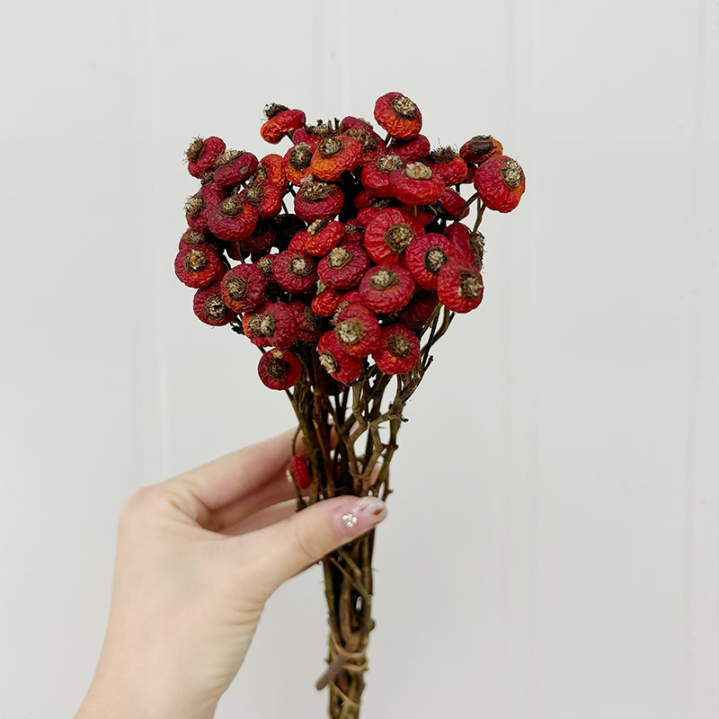 10 Piezas/Ramo de Flores Secas - Dried Flower Bunch reseña y precio