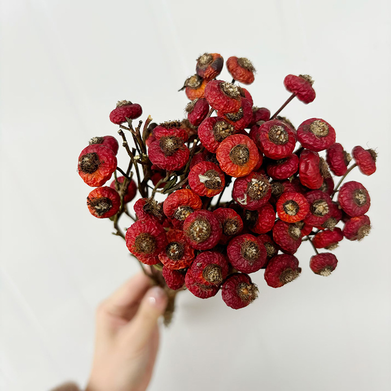 10 Piezas/Ramo de Flores Secas - Dried Flower Bunch reseña y precio
