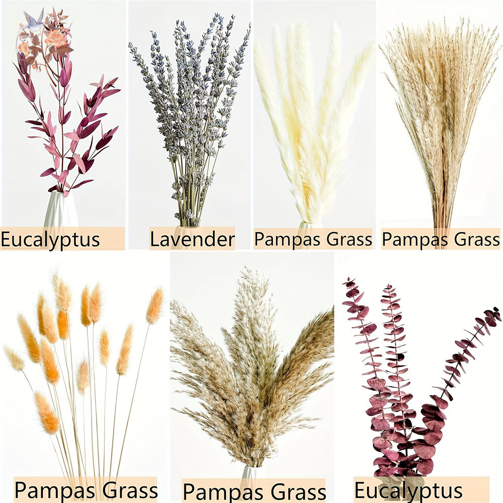75 Uds. Ramo de flores de hoja - Dried Flower Bunch reseña y precio