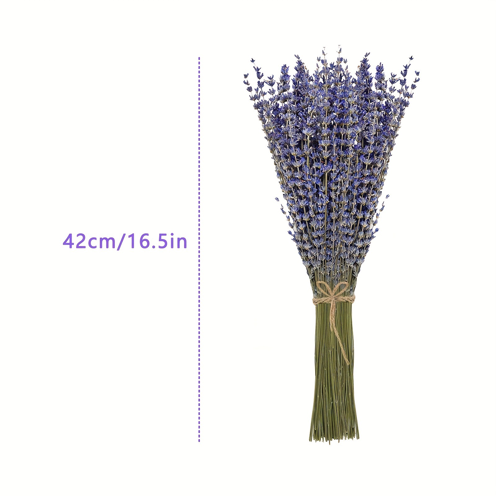 200 Piezas/Ramo de Flores Seca - Dried Flower Bunch reseña y precio