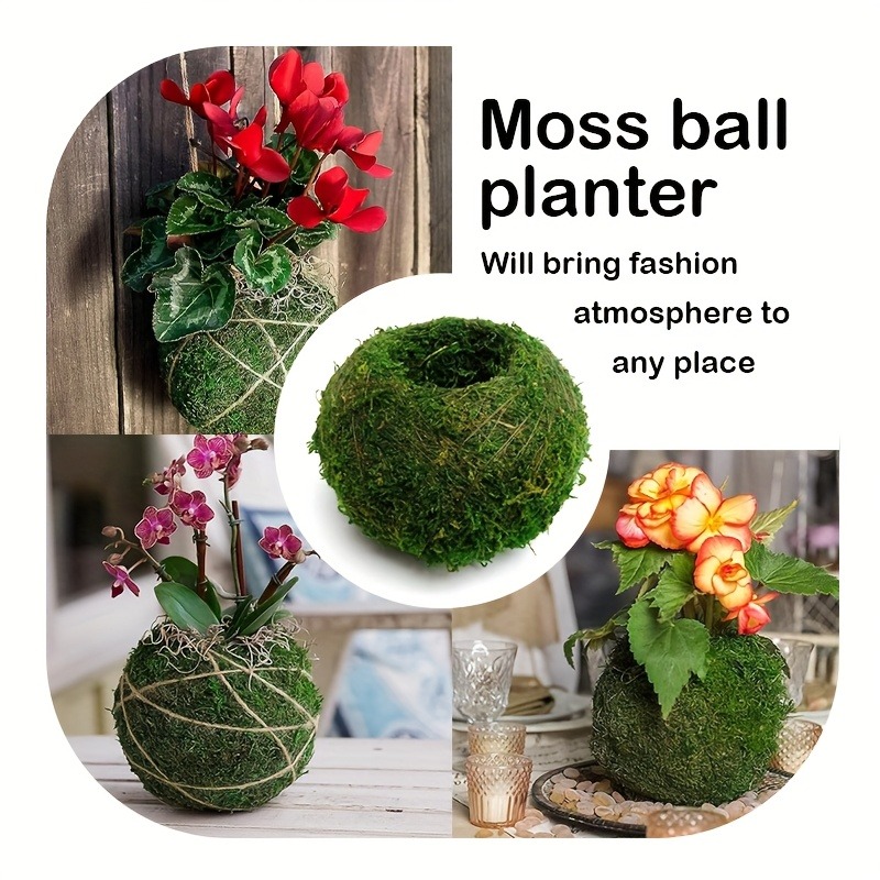 Maceta con Bola de Musgo Artif - Preserved Moss Sheet reseña y precio