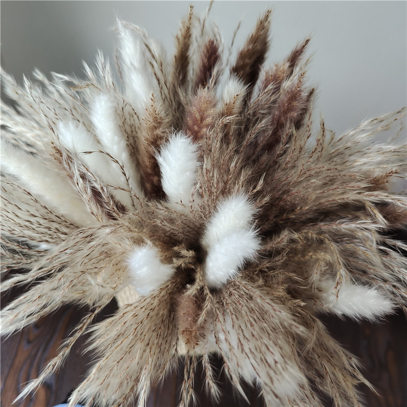 Ramo de flores secas mezcladas - Dried Flower Bunch reseña y precio