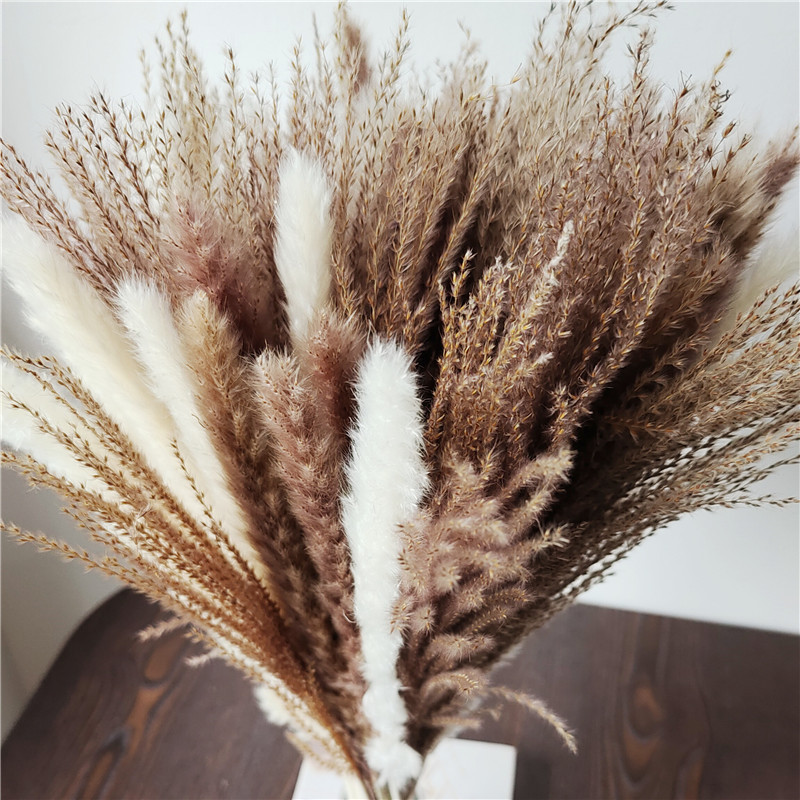 Ramo de flores secas mezcladas - Dried Flower Bunch reseña y precio