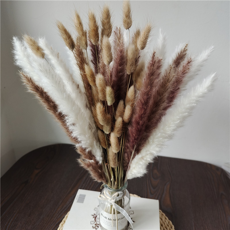 Ramo de flores secas mezcladas - Dried Flower Bunch reseña y precio
