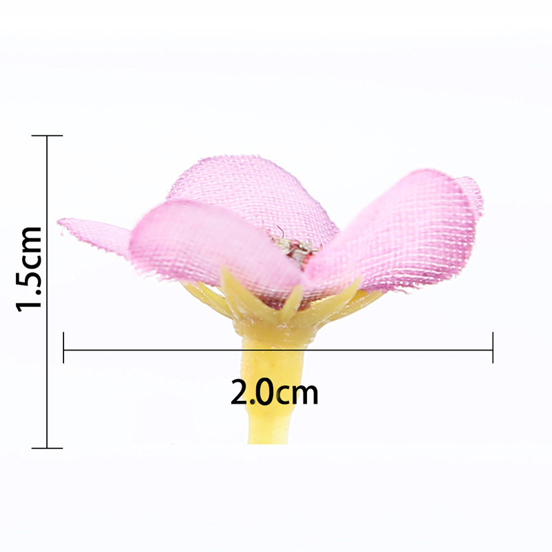 50 y 100 Piezas de Mini Cabeza - Dried Flower Bunch reseña y precio