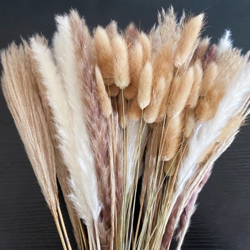 A granel, 100 Uds., tallos hie - Dried Flower Bunch reseña y precio