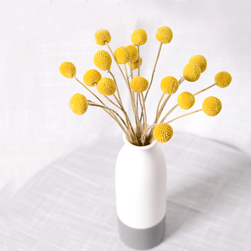20 piezas ramos de flores de C - Dried Flower Bunch reseña y precio