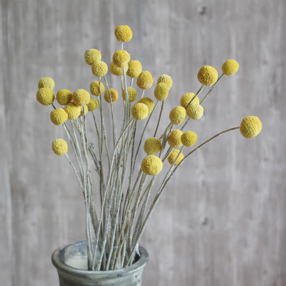 20 piezas ramos de flores de C - Dried Flower Bunch reseña y precio