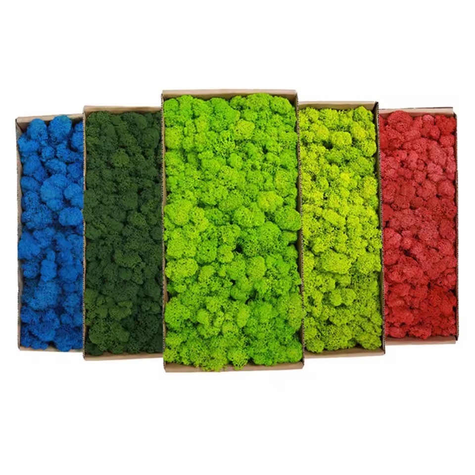 Plantas verdes artificiales de - Preserved Moss Sheet reseña y precio