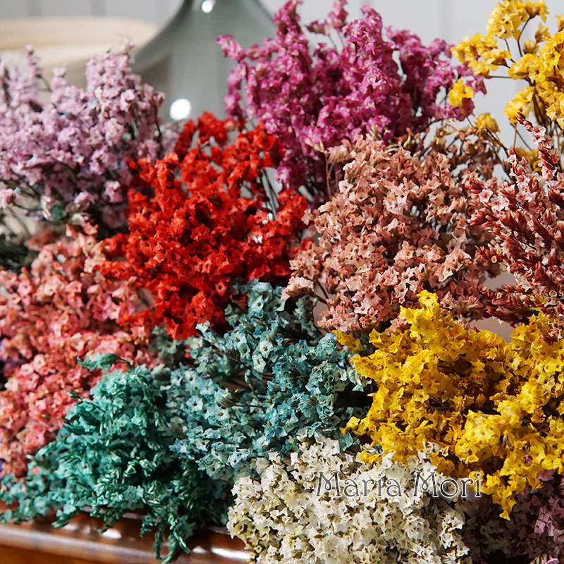 5g/colorido hierba de cristal  - Dried Flower Bunch reseña y precio