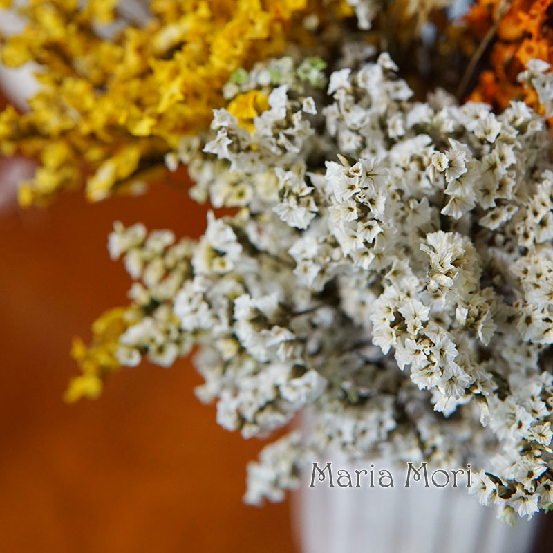 5g/colorido hierba de cristal  - Dried Flower Bunch reseña y precio