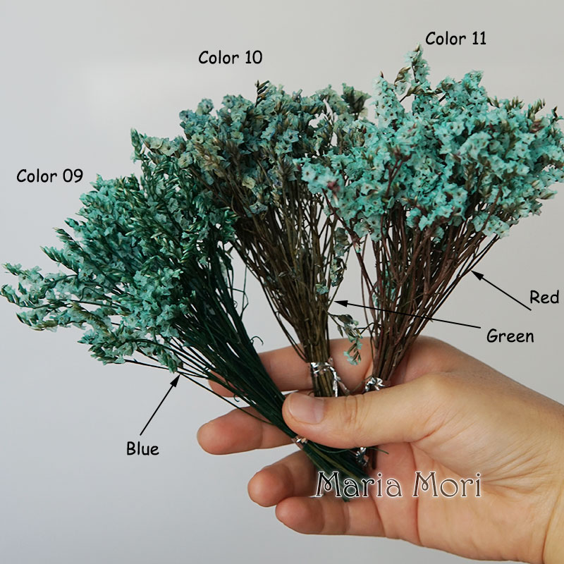 5g/colorido hierba de cristal  - Dried Flower Bunch reseña y precio