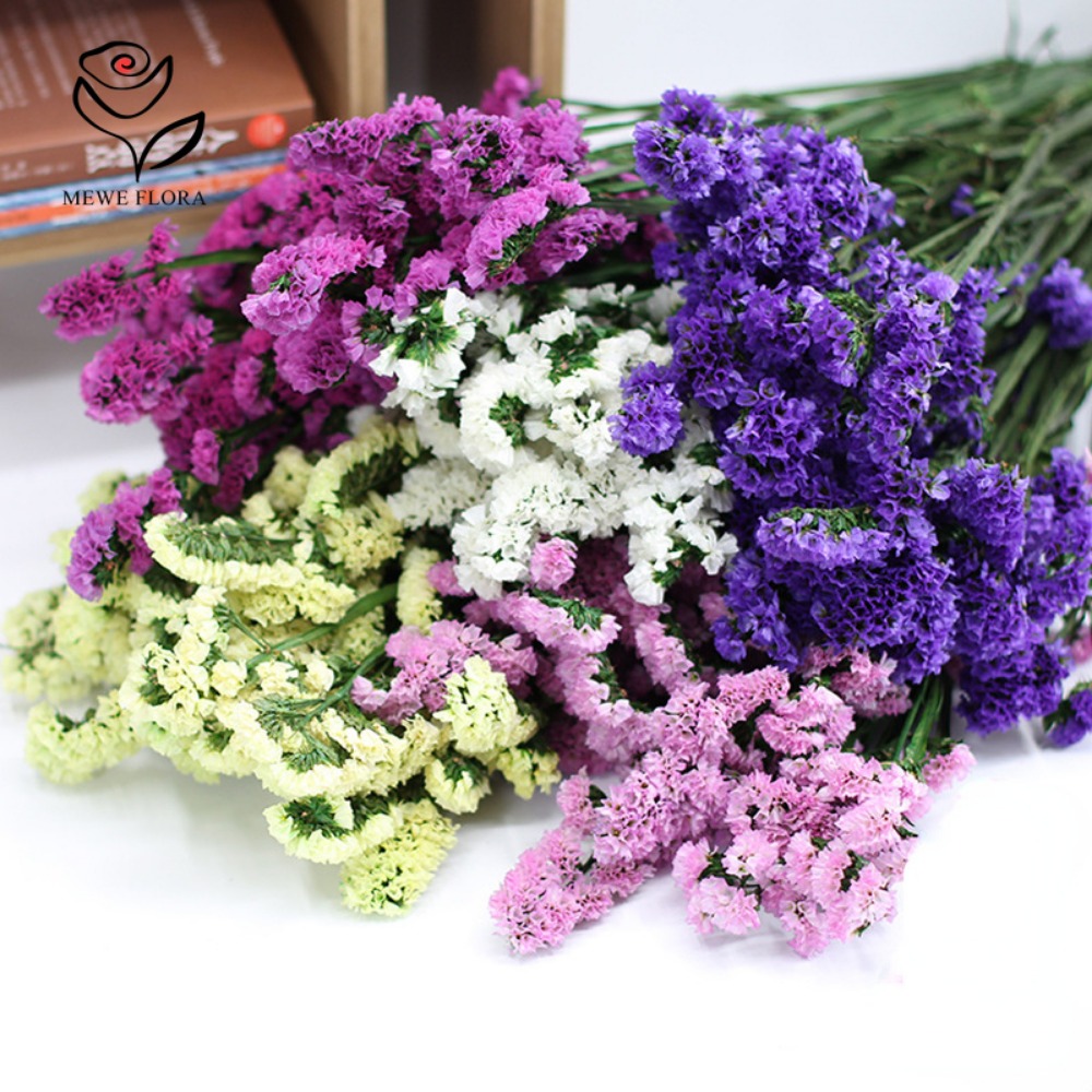 Racimos inmortales de Miosotis - Dried Flower Bunch reseña y precio