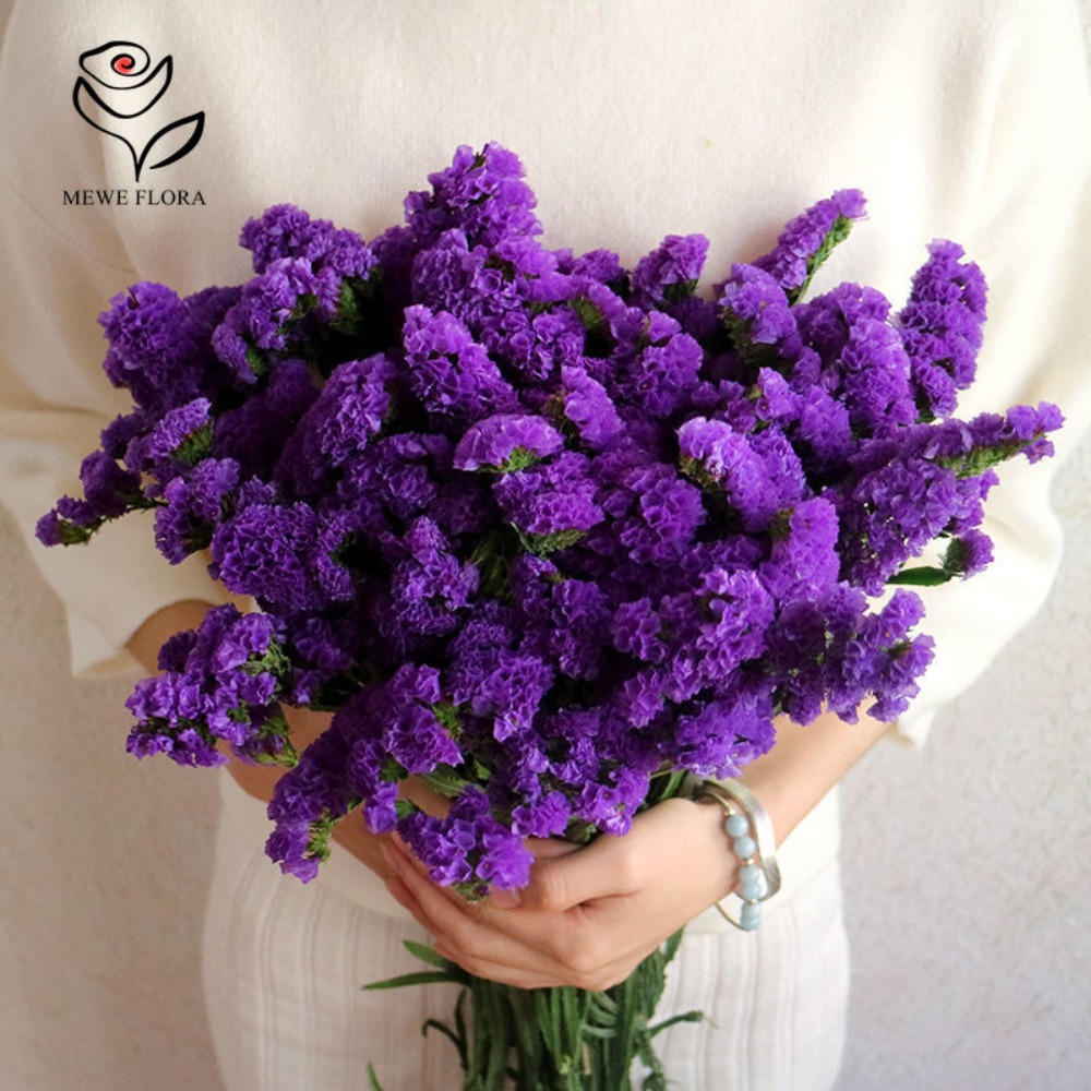 Racimos inmortales de Miosotis - Dried Flower Bunch reseña y precio