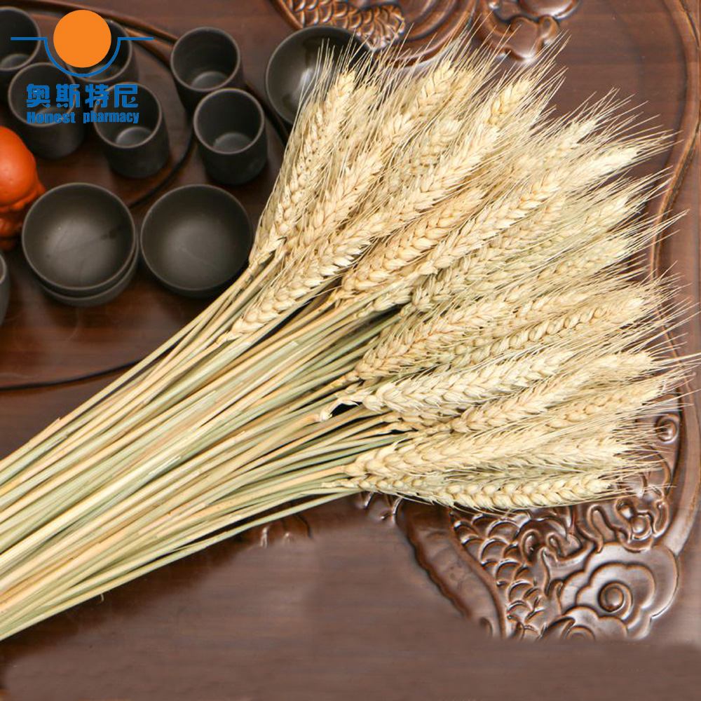 50 Uds. Ramos de flores secas  - Dried Flower Bunch reseña y precio
