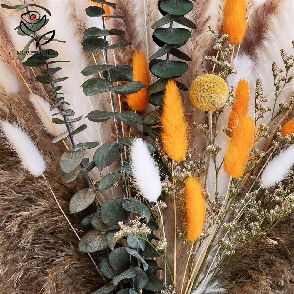 Ramo de hierba de Pampas naran - Dried Flower Bunch reseña y precio