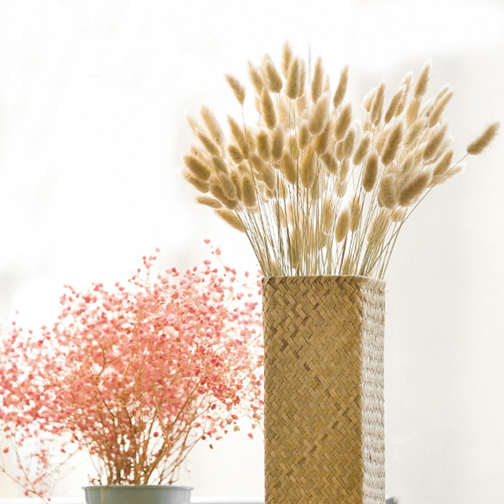 200 Uds. Ramos de lagurus ovat - Dried Flower Bunch reseña y precio