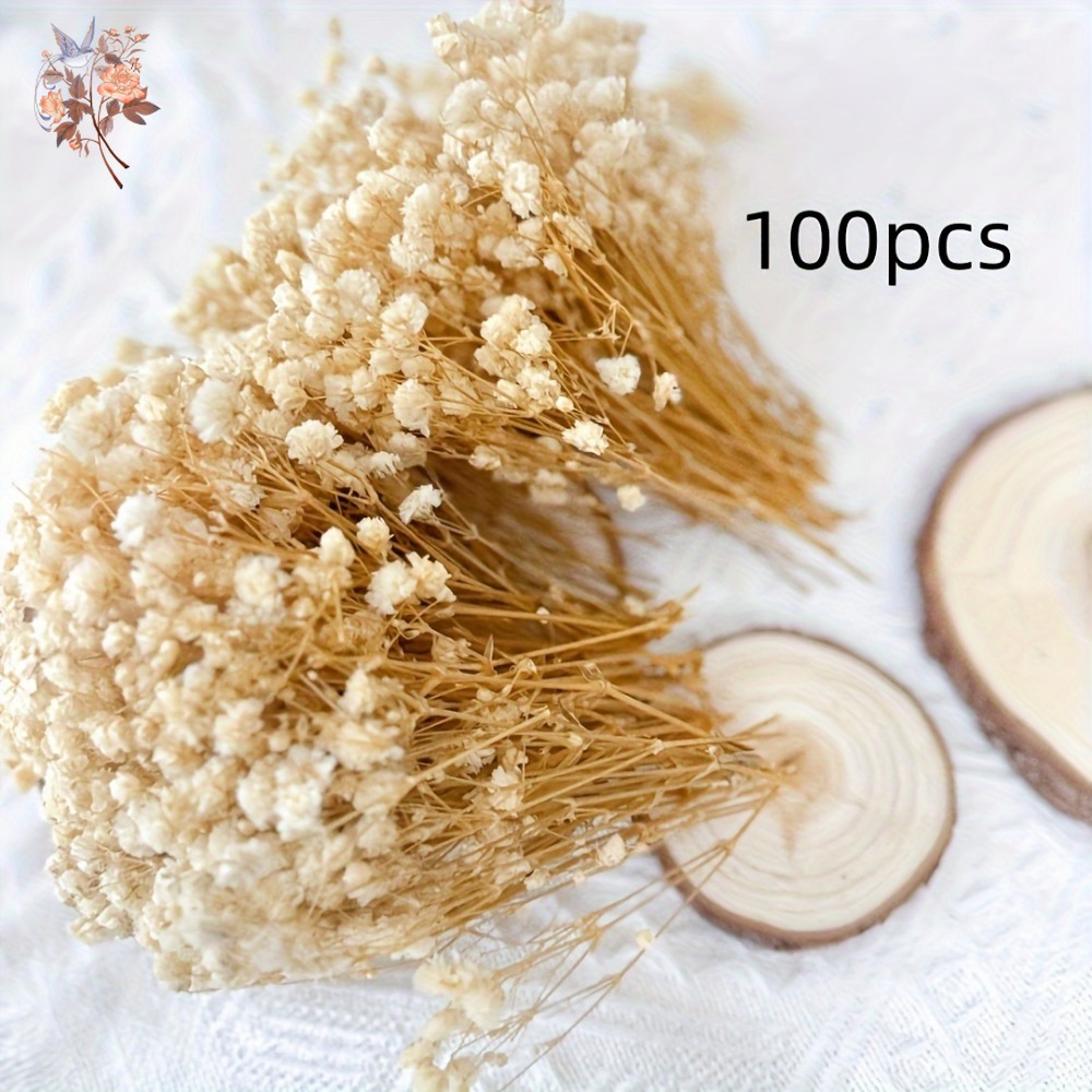100 Piezas de Flores Secas de  - Dried Flower Bunch reseña y precio