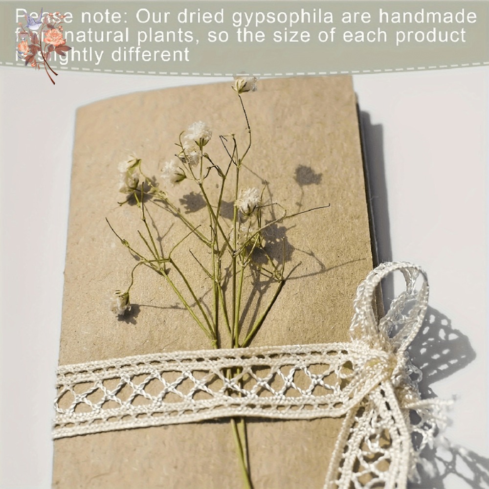 100 Piezas de Flores Secas de  - Dried Flower Bunch reseña y precio